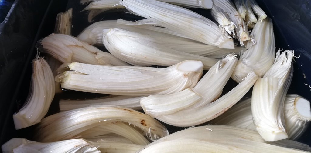 Cardo cucchiarando.wordpress.com/2019/03/28/car…