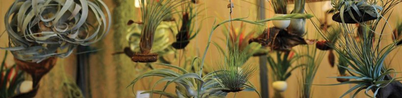 SalonsZenetBio's tweet photo. J-1 avant l'ouverture du salon de Tours

Découvrez le programme de cette première édition !

#zenetbio #tours #salonzenetbio
 https://t.co/hvEABVx9YN https://t.co/WdYE9vSKzm