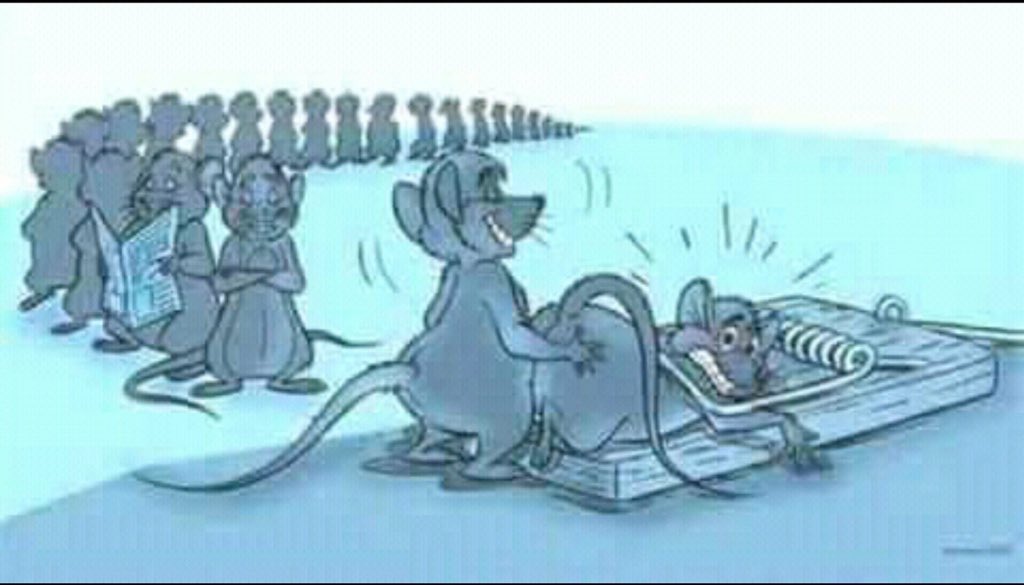VilainGoss's tweet photo. La vie est faite ainsi 🤷🏽‍♂️, le malheur de l’un fait le bonheur des autres 😁 https://t.co/sa3NKzeDBP