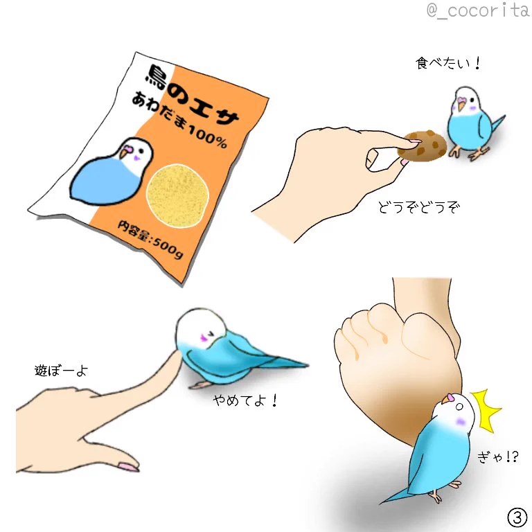 生き物を飼う上で知っていてほしいこと！！値段と命を同じに考えないで！！
