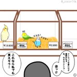 生き物を飼う上で知っていてほしいこと!値段と命を同じに考えないで!