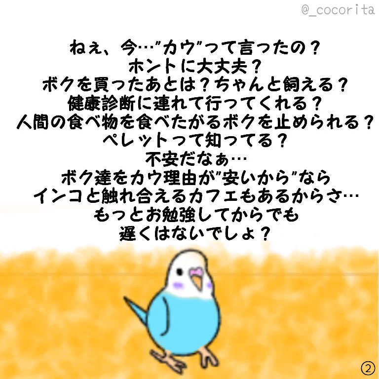 生き物を飼う上で知っていてほしいこと！！値段と命を同じに考えないで！！