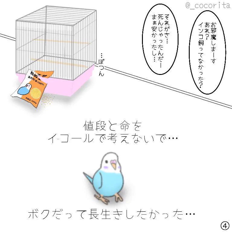 生き物を飼う上で知っていてほしいこと！！値段と命を同じに考えないで！！