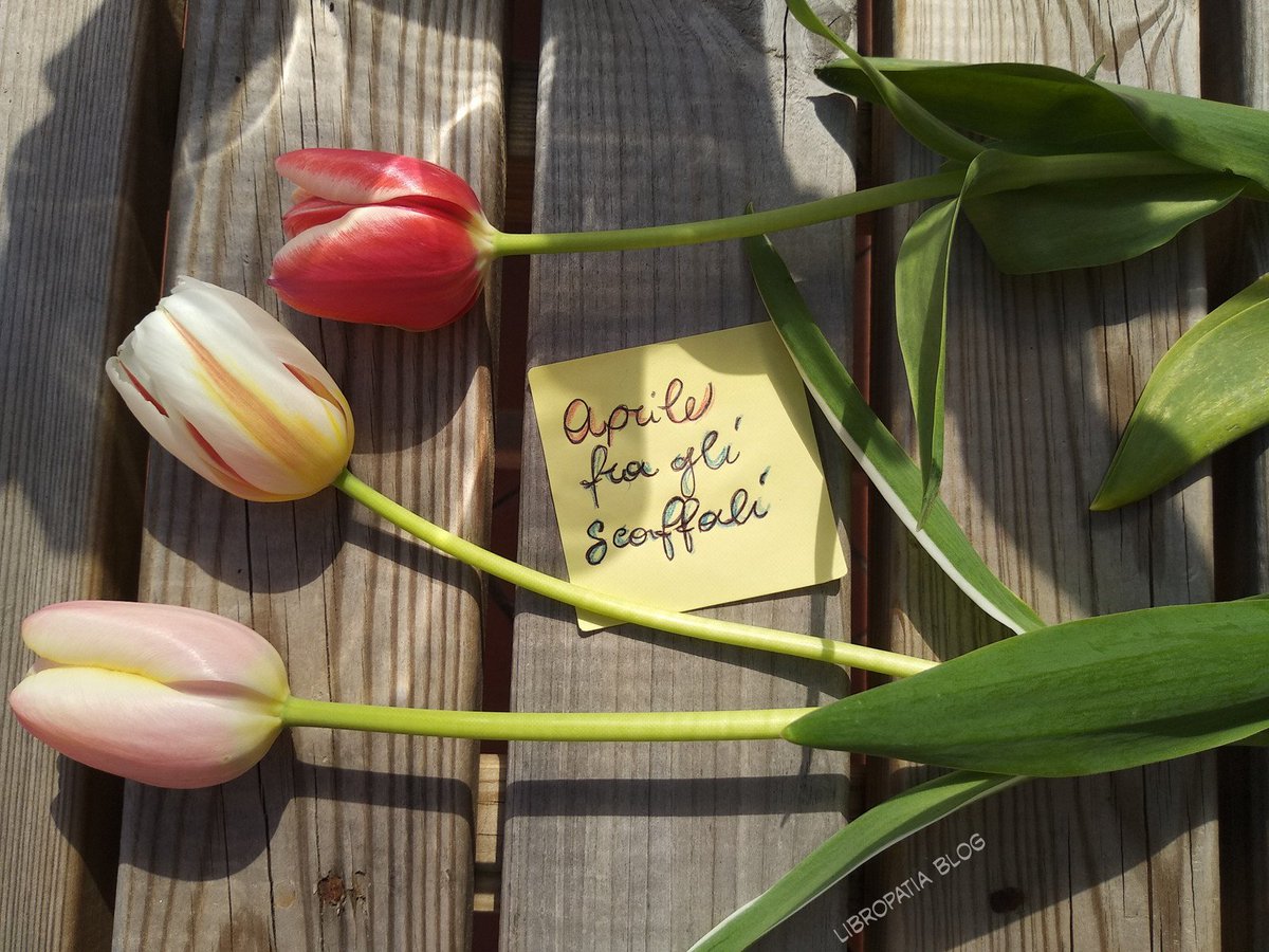 Se volete conoscere alcune delle novità che troveremo in libreria ad aprile basta cliccare qui: libropatia.blogspot.com/2019/03/aprile…. tanti bei libri!