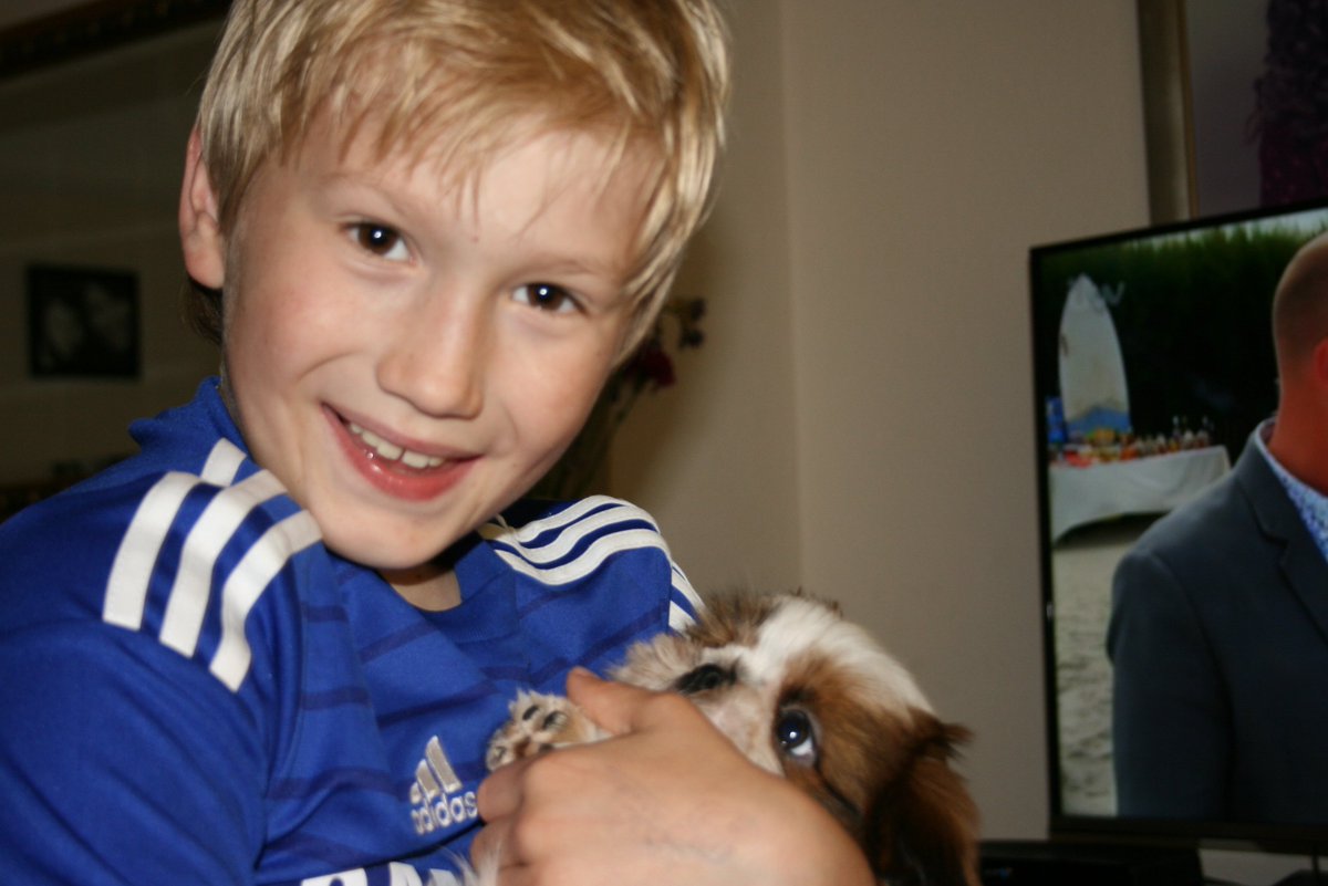 ObiBaylis's tweet photo. Me and my brother William (he's the blond boy!) I'm 9 weeks old in this pic! https://t.co/EQOjNXLNJT