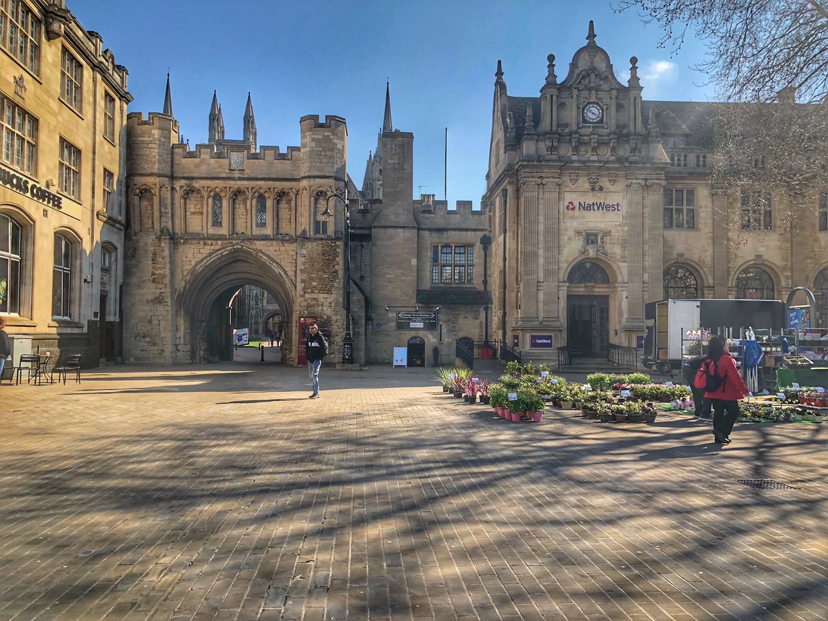 Toby Wood tweet media