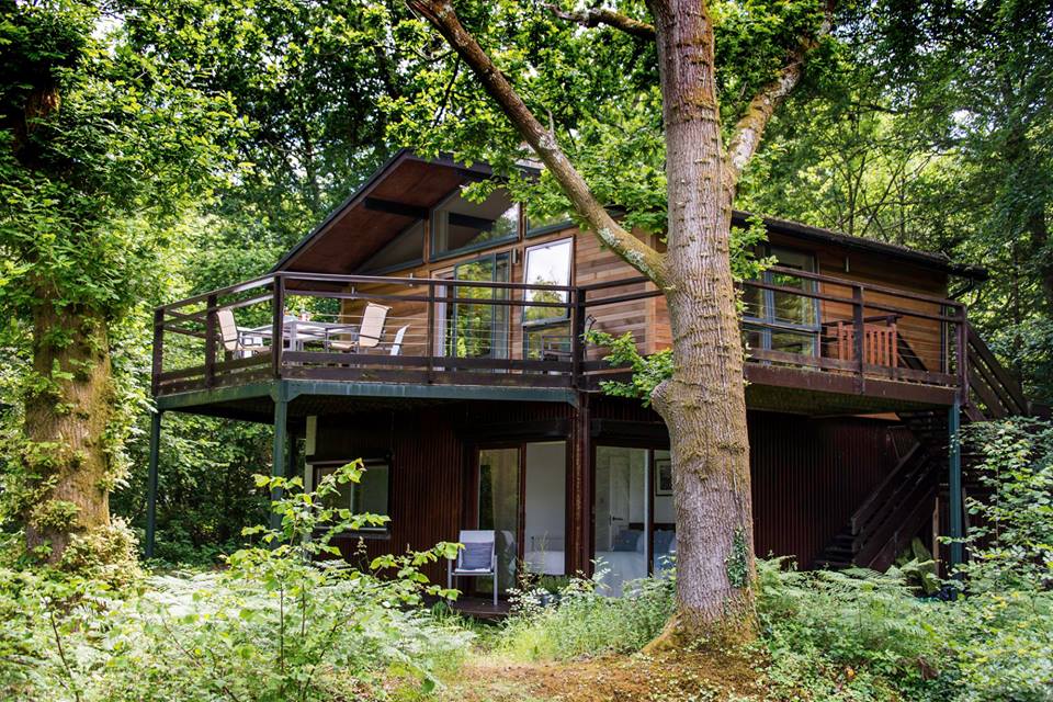 Our collection of family-friendly cottages in the New Forest come in all shapes and sizes. Browse our full collection ⬇
newforestliving.co.uk/family-friendl…

🏡 Riverside Retreat