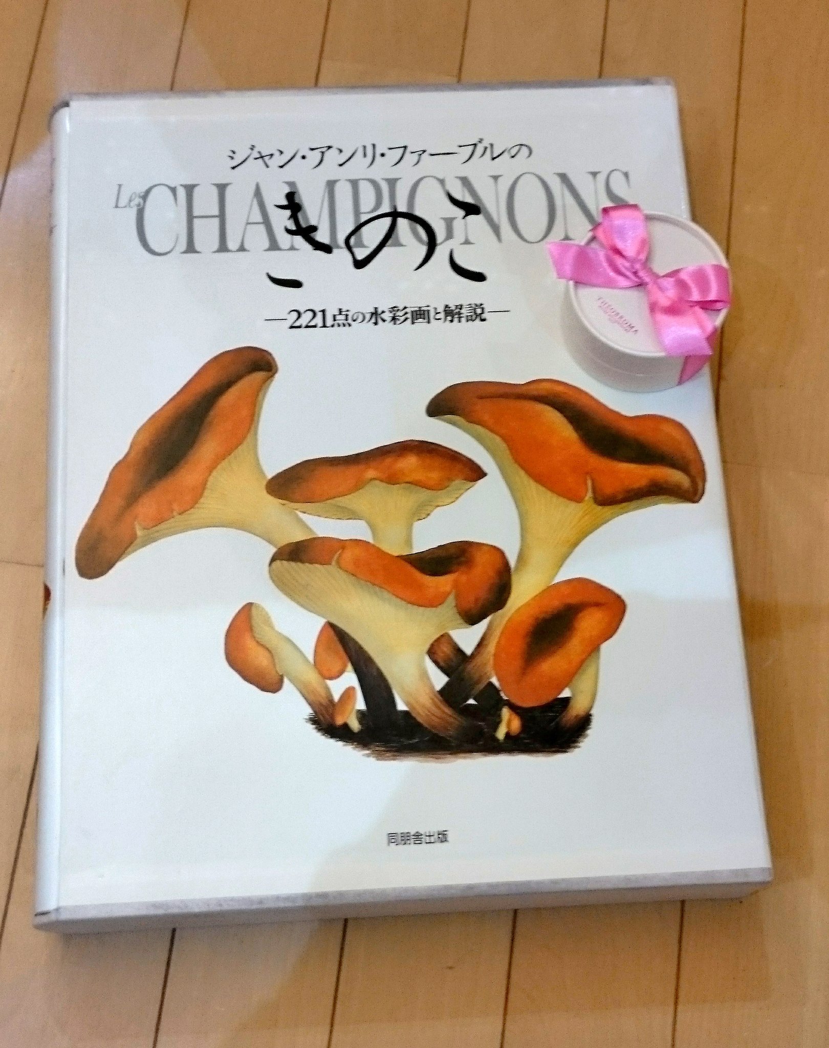 樋口橘@「シャンピニオンの魔女」マンガparkで連載中🍄7巻発売中🍄 on