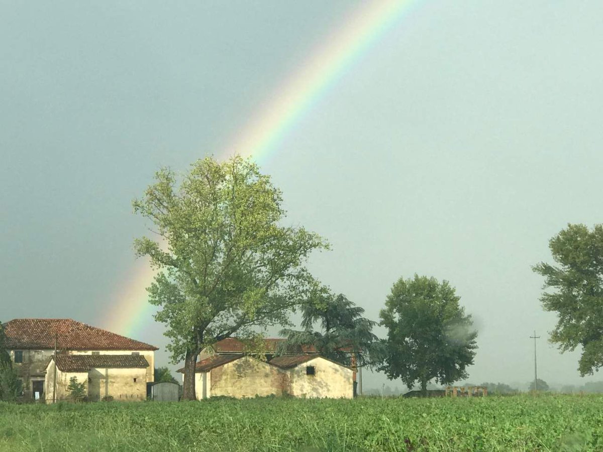 MassimilianoG73's tweet photo. Il futuro? Più del biologico conterà l’integrazione delle tecnologie avanzate https://t.co/jzfwn7AFcb #AgTech #AgriTech #SmartFarming #PrecisionFarming #DecisionFarming #InternetOfFarming https://t.co/evJqGkmHEB