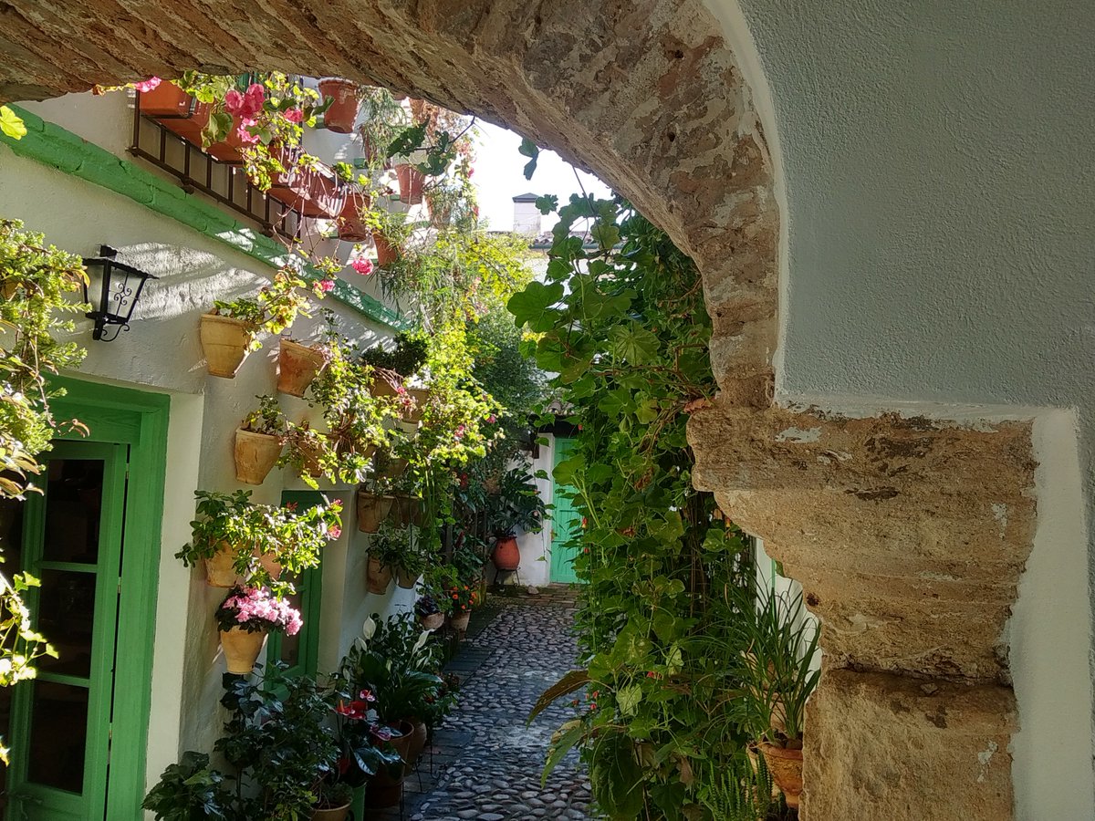 PatioCosturera's tweet photo. arco y columna #elpatiodelacosturera

#lugaresquevisitar #placestovisit #vacaciones #holidays #hiddenplaces #flores #flowers https://t.co/tEaC8SI8ij