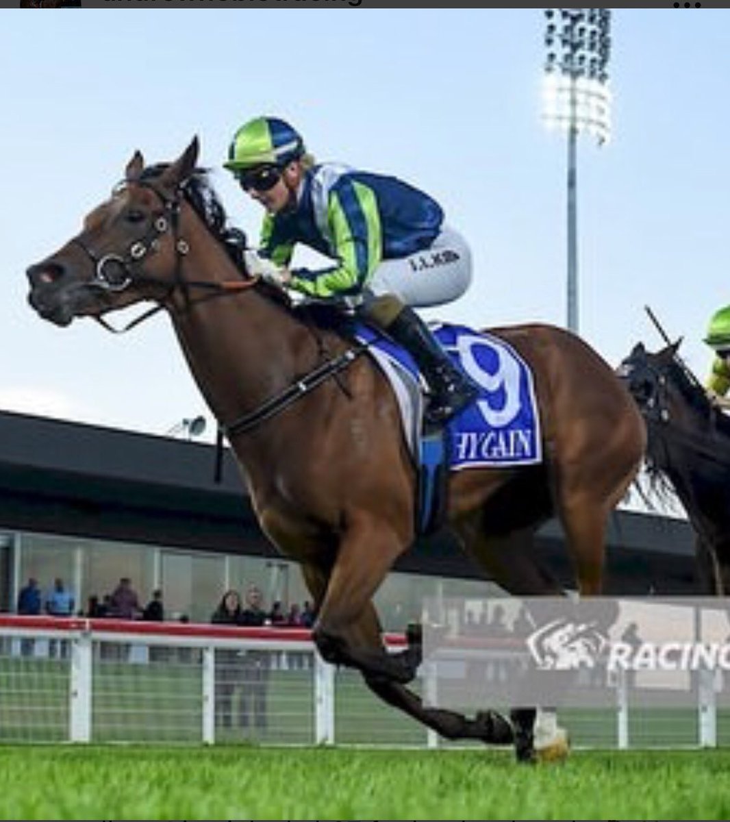 wilko117's tweet photo. A peach from @jamieleekah07 to get W for Indigo Lass on debut. https://t.co/6domACTc8k