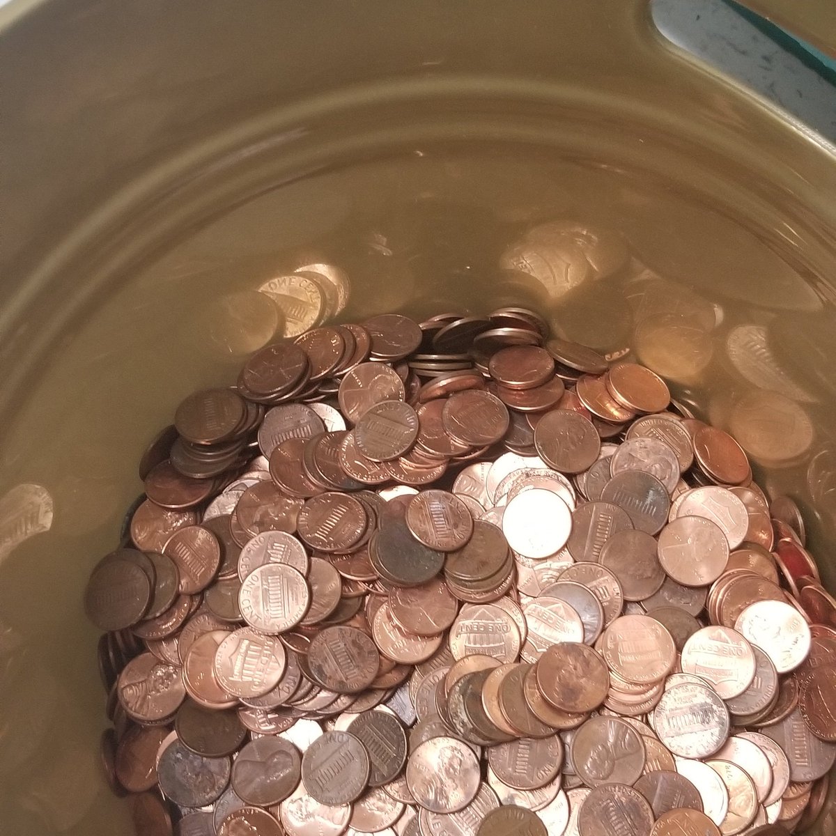 ChristanBush's tweet photo. @WCHSBeta1 Beta Week Penny Wars: C/O 2019 RUNS THIS CLUB! https://t.co/G9xtjeX17x