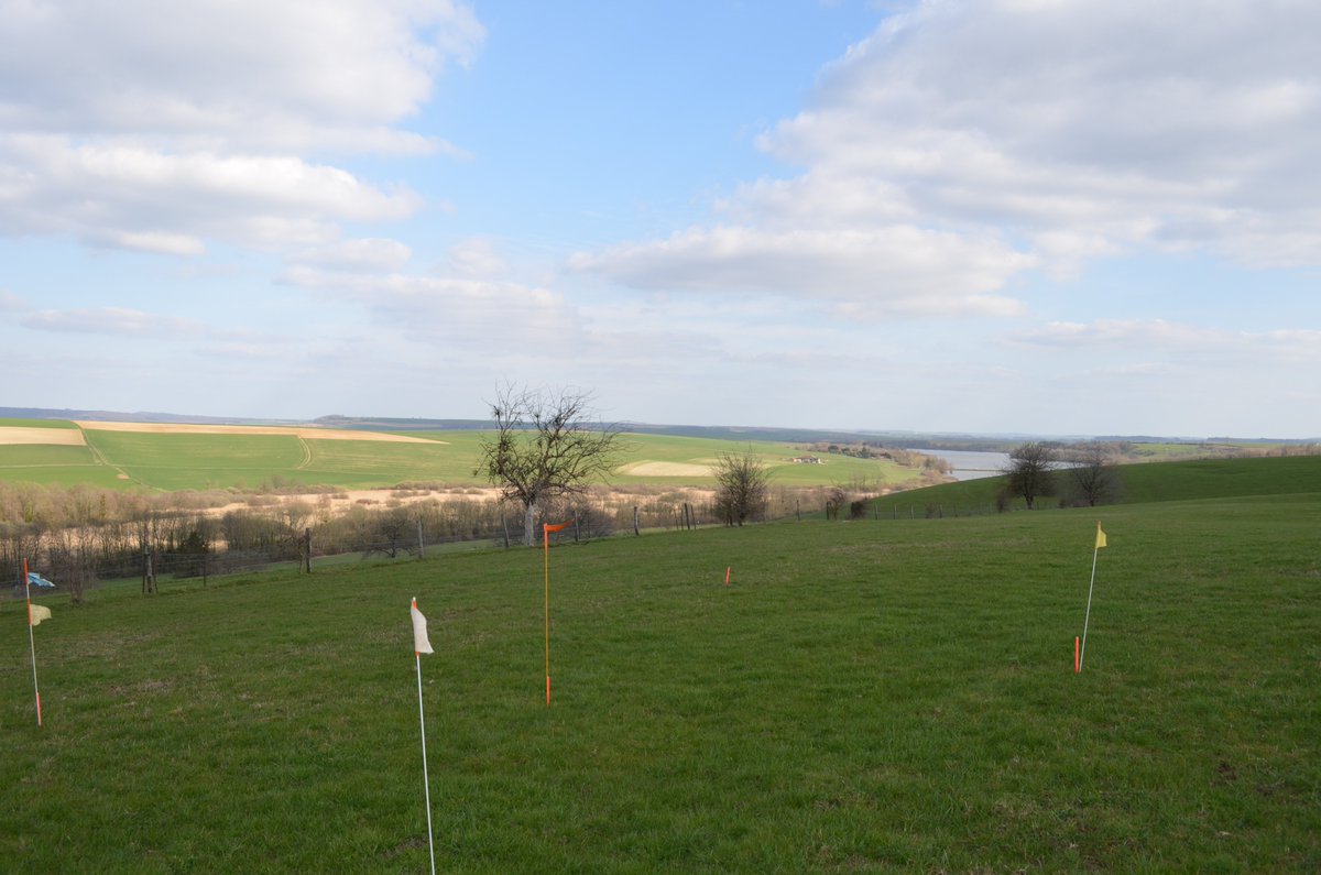 Programme Réseau de mesures de la Qualité des Sols réalisé pour @InfosolOrleans sur la <a href="/regiongrandest/">Région Grand Est</a>. Avec la <a href="/ChambreAgri08/">Chambre d'Agriculture des Ardennes</a> , nos pédologues étaient à Louvergny (08) et ont observé un calcosol sous prairie et réalisé les prélèvements nécessaires ➡️ urlz.fr/9jrS