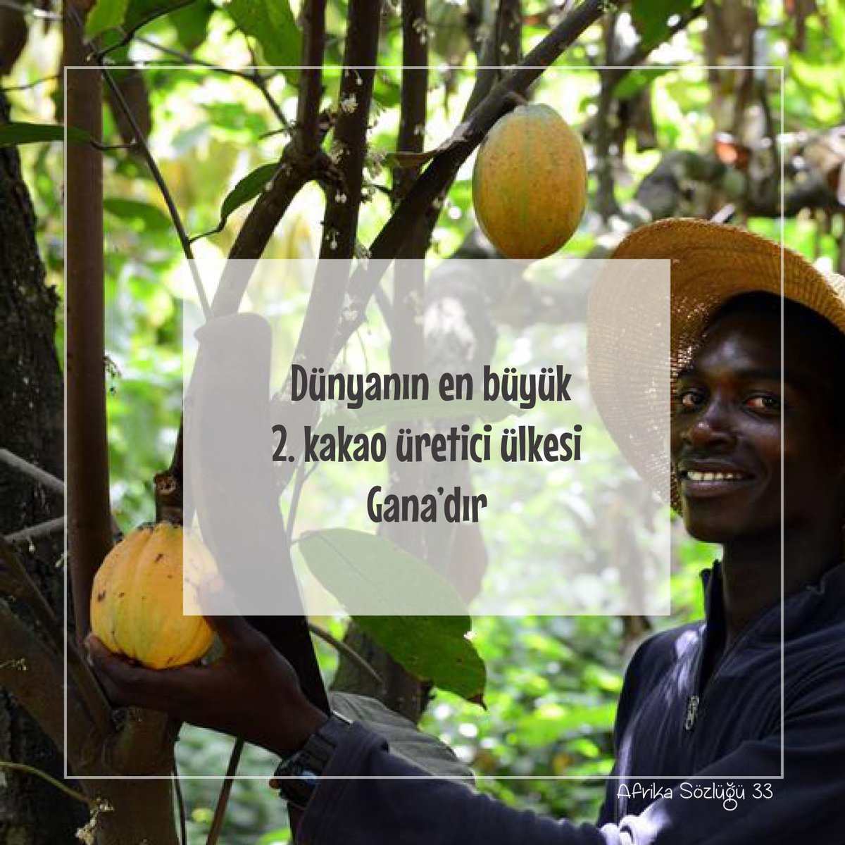 Biliyor muydunuz?

#africa #afrika #gana #kakao #afrikabirliği #afrikatürk #SouthAfrica #perşembe