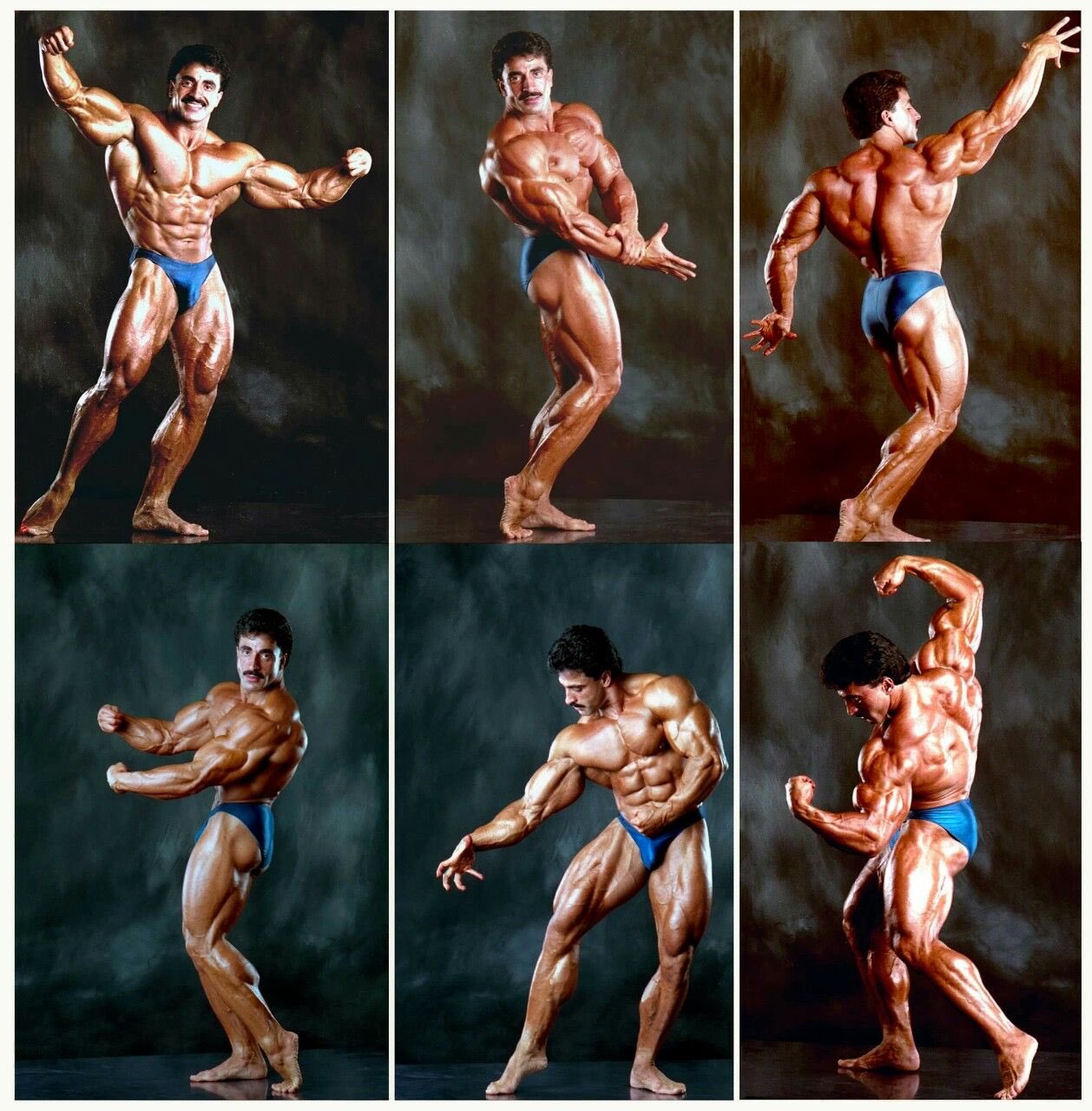 Like, repin, share! Thanks :) Check out Samir Bannout winning the 1983 IFBB  Mr Olympia - http://www.primecutsbo… | Mr olympia, Bodybuilding, Olympia  fitness