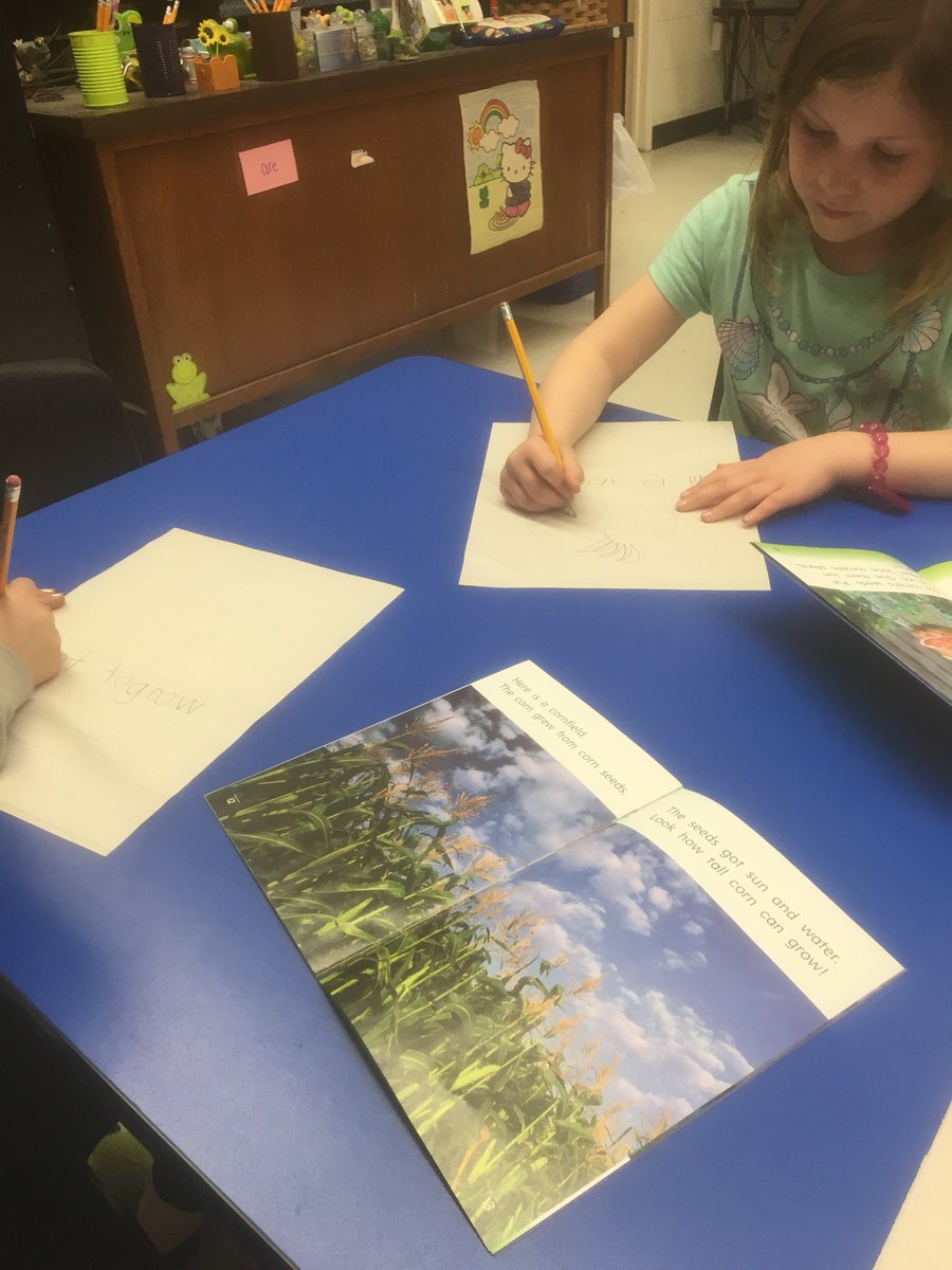 TamieMcDonald1's tweet image. #teamlamonte #abilitygrouping #readingandwriting