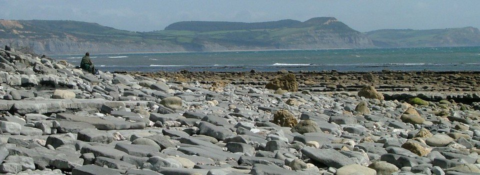 JackettsDevon's tweet photo. A lovely #holiday cottage just minutes from the sea #Devon sleeping 4: https://t.co/2TdJVaDhnF https://t.co/TuOLDysjaa