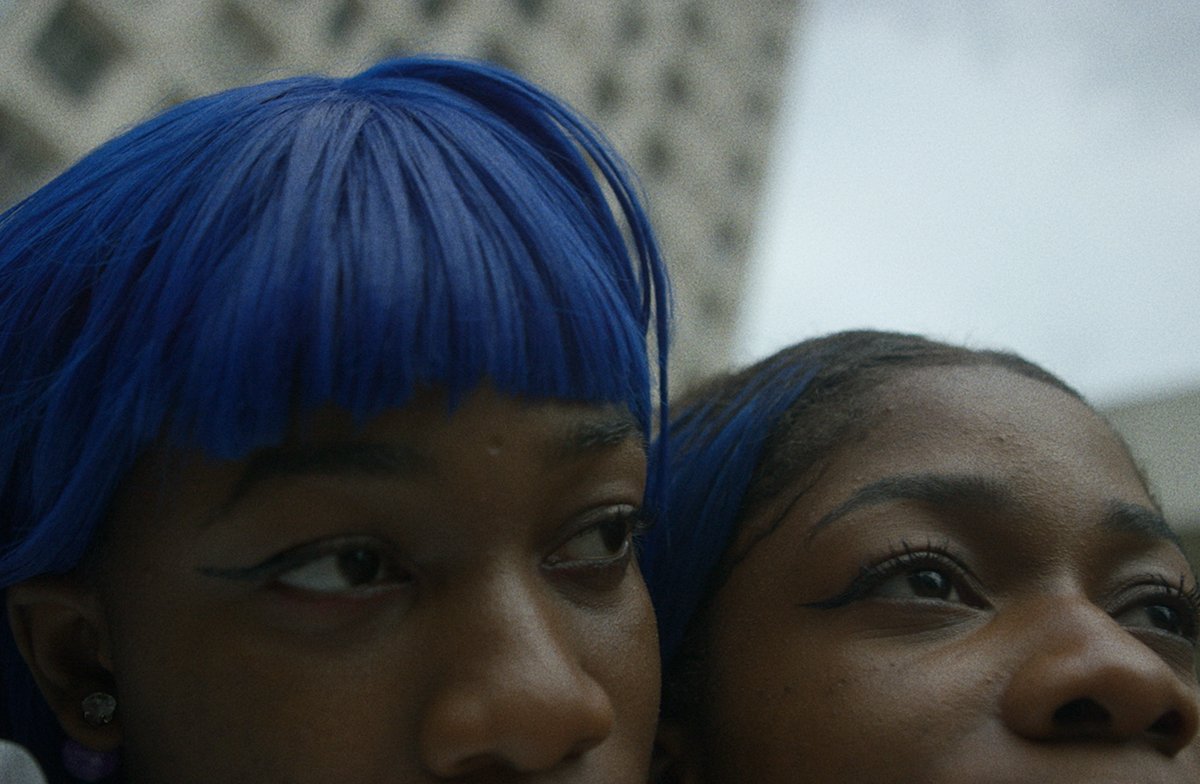 RattlingStick's tweet photo. ➕ PARIS LOVES US ➕
Directed by Loren Denis & Anthony Vibert
https://t.co/4FCqRMTohH
"We are her tribe,
Her soldiers.
From every culture and creed,
United,
We bleed."
#ParisLovesUS https://t.co/r8l0USgUE9