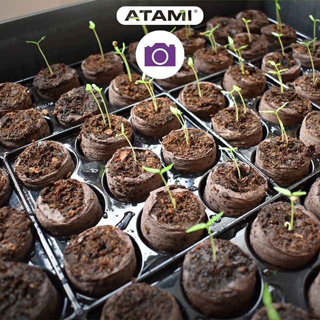 AtamiEU's tweet photo. At Atami we are continuously in development, so it’s important we keep testing our products, whether it’s a new product, a developing product or an existing product we keep testing, because there is always room for innovation and improvement! At Atami th… https://t.co/kCsBZF5V4g https://t.co/P1ieLQbMWF