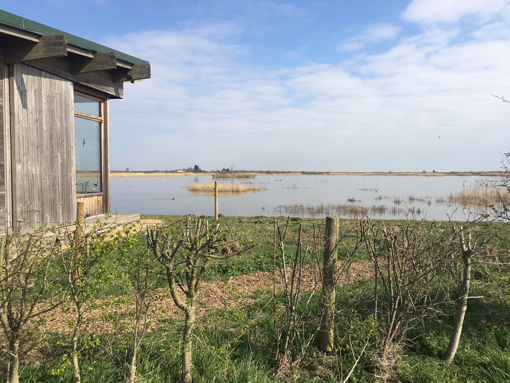 HannahLincs's tweet photo. Here at @RSPBFrampton for a meeting to discuss all things @HeritageLincs and getting some new people to Boston. Stunning views with the sunshine beaming https://t.co/fW6tHTPzRw