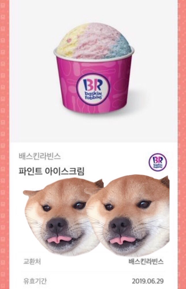 catdogsaranghe's tweet photo. ⭐️알티추첨 배라 파인트⭐️
유기 시바견 입양 하실분 찾습니다 제 계정 관련 트윗 모두 읽어주셨으면 좋겠습니다.
3월 11일 안락사 예정이던 아이가 사람을 너무 좋아하���게 안타까워서 사비들여 수술까지 끝냈습니다 토요일이 퇴원인데 저희집에는 이미 유기묘가 너무 많아 갈곳이 없을지도 몰라요 https://t.co/jzwICPUWYi