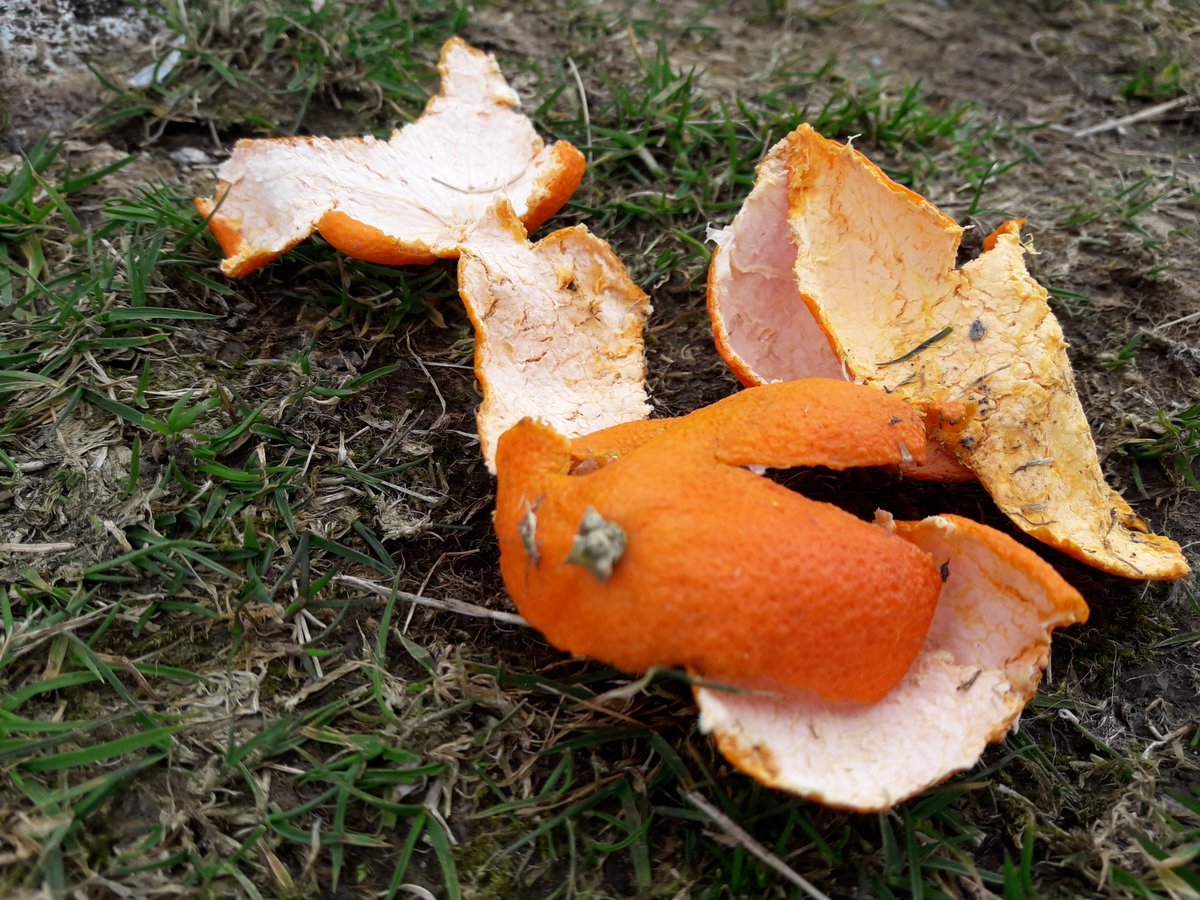 Fell Top Assessors tweet media