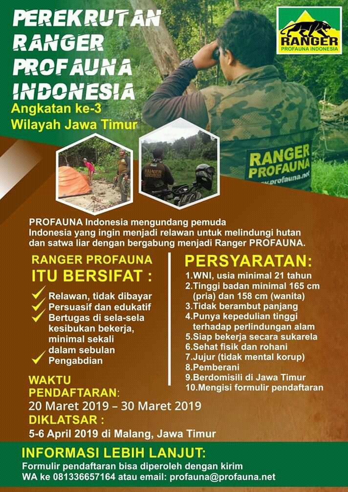 ProFauna's tweet photo. Pendaftaran relawan Ranger PROFAUNA wilayah Jawa timur masih dibuka sampai tanggal 30 Maret 2019. Segera daftar untiuk yang mau mengabdi dan beraksi nyata bagi perlindungan alam! #RangerProfauna https://t.co/lj5y9FPOBI