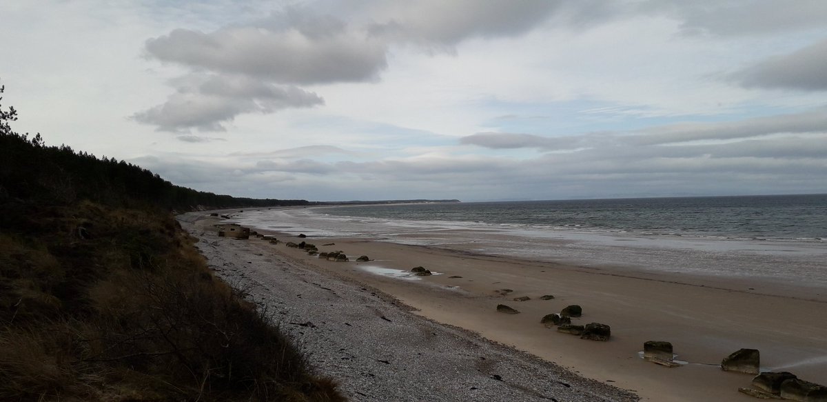 csinclair185's tweet photo. Glorious 8 miles along the #MorayCoastTrail from Findhorn to Roseisle. #soulfood #MorayMagic https://t.co/rACRENlO7C