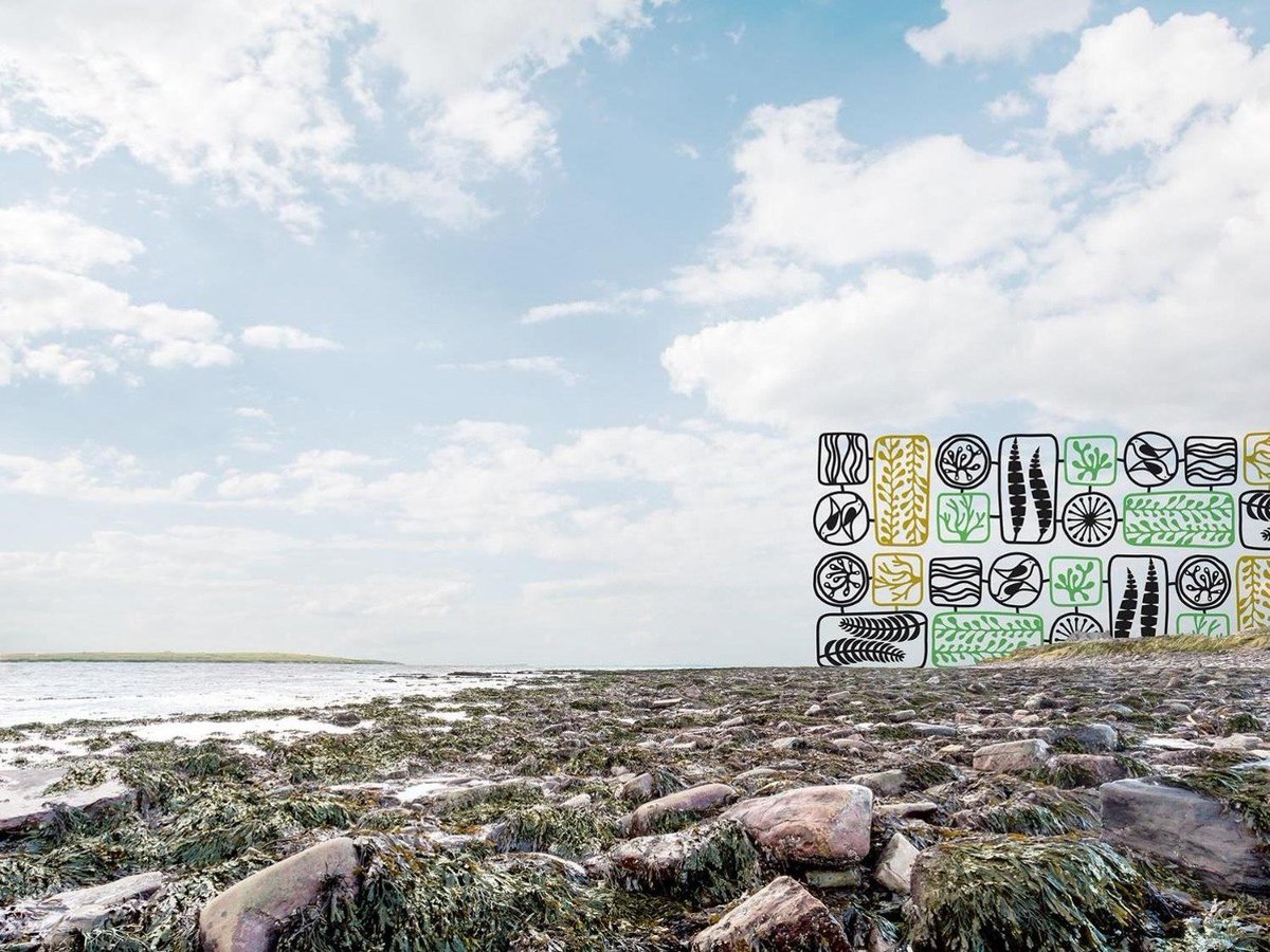 Did you know we can certify wild harvested and farmed seaweed as #organic? We're working with innovative businesses like <a href="/maraseaweed/">maraseaweed</a> <a href="/ShoreSeaweed/">Shore Seaweed</a> <a href="/CornishSeaweed/">Cornish Seaweed</a> to ensure this amazing resource is sustainably managed for the future. Find out more: bit.ly/2WsQx5S