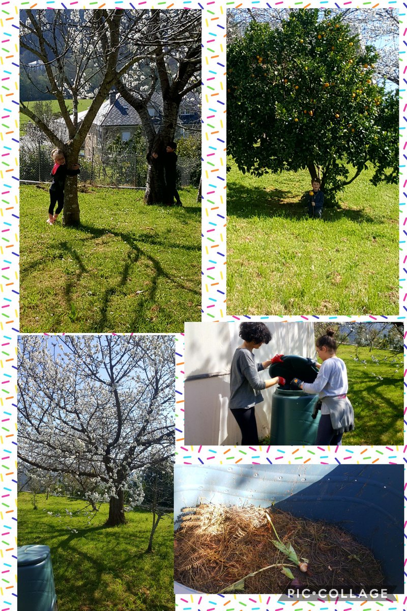 ceip_santarita's tweet photo. Tempo de lecer diferente🌱🌳#patiosinclusivos #xogosnanatureza #sacharoterreo # invernadoiro @VozNatura #educandoenmedioambiente #composteiro #coledegaldo @bescolaresgal https://t.co/QyqJIqHrb4