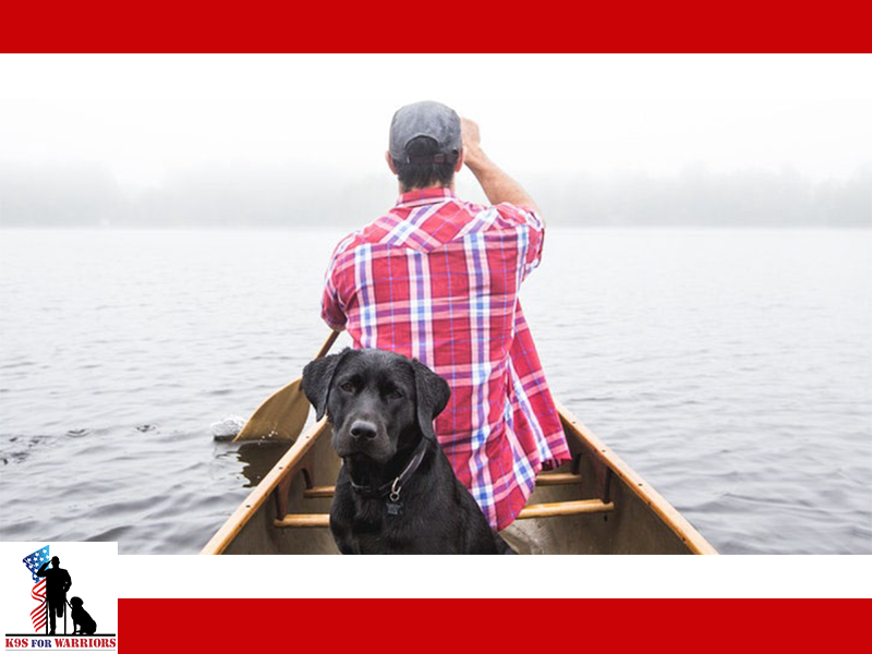 k9sforwarriors's tweet photo. Once paired with a service dog, many of our warriors can return to the activities they loved before the PTSD set in. #K9sForWarriors #ServiceDogsWork https://t.co/kZml3TcApa
