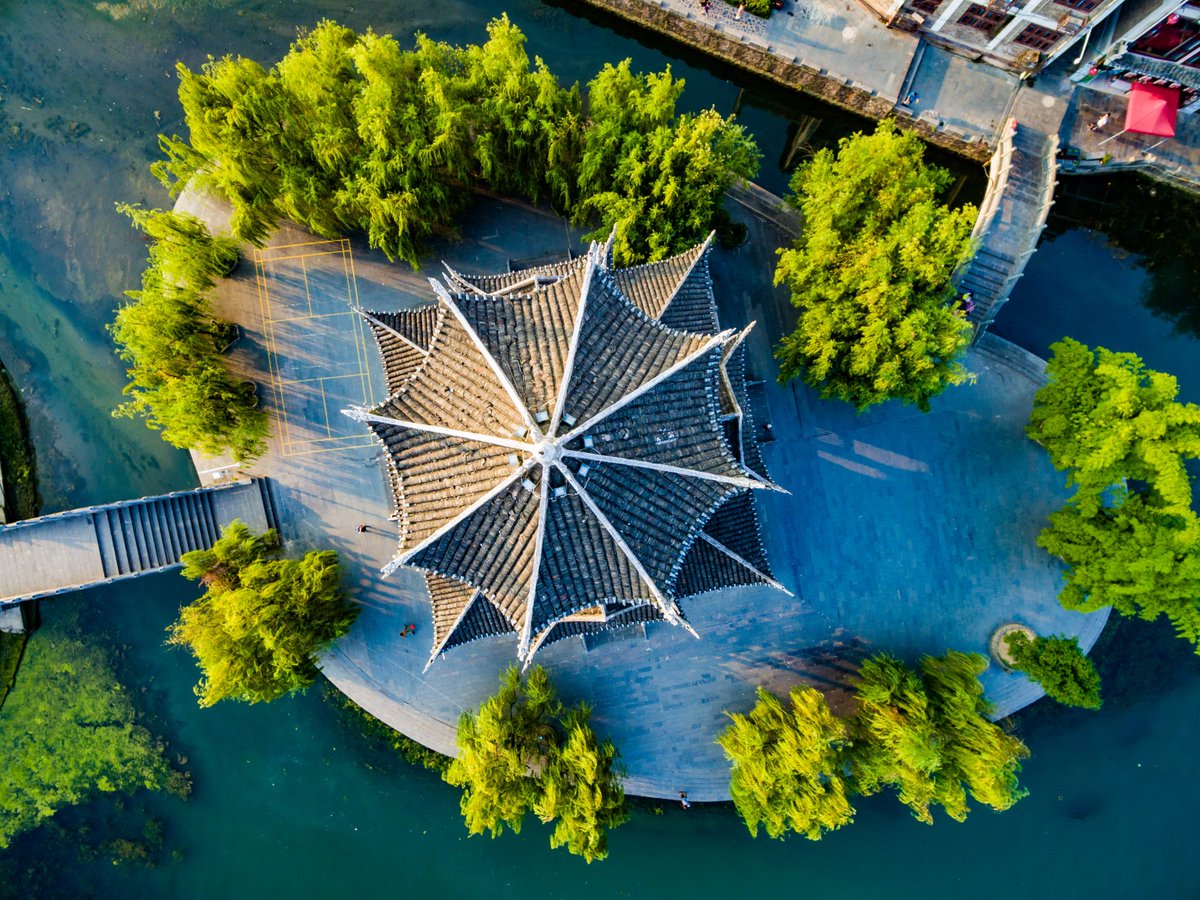 Forum per la Finanza Sostenibile tweet media