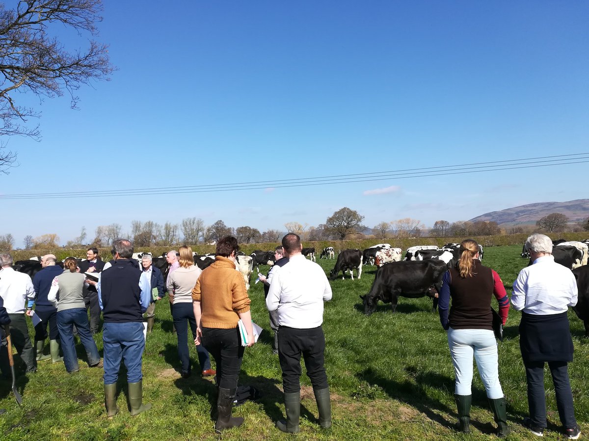 On a day like today, hard not to come to the conclusion that North Wales dairy farmers have the best job in the world...