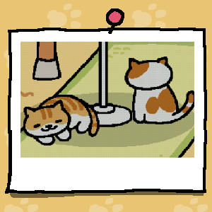 ねこあつめ あいことば ねこあつめ あいことば