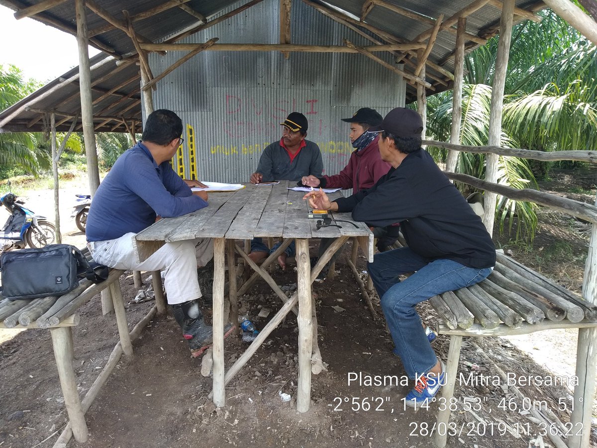 hendra13_SP's tweet photo. Kegiatan Hari ini Monitoring dan Evaluasi Kebun Plasma KSU. Mitra Bersama yang sudah di Pra Penilaian Fisik Kebun di Desa Karya Tani Kec. Barambai Kab. Barito Kuala Prov. Kalimantan Selatan.
@fkp2indonesia 
@ditjenbun 
@kementan https://t.co/2gZa1vbGfQ