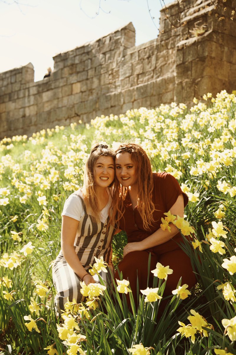 xxcaleigh_'s tweet photo. 🌼💛 the wall in York is covered in daffodils and it’s the spring dream https://t.co/dHckn07fT1