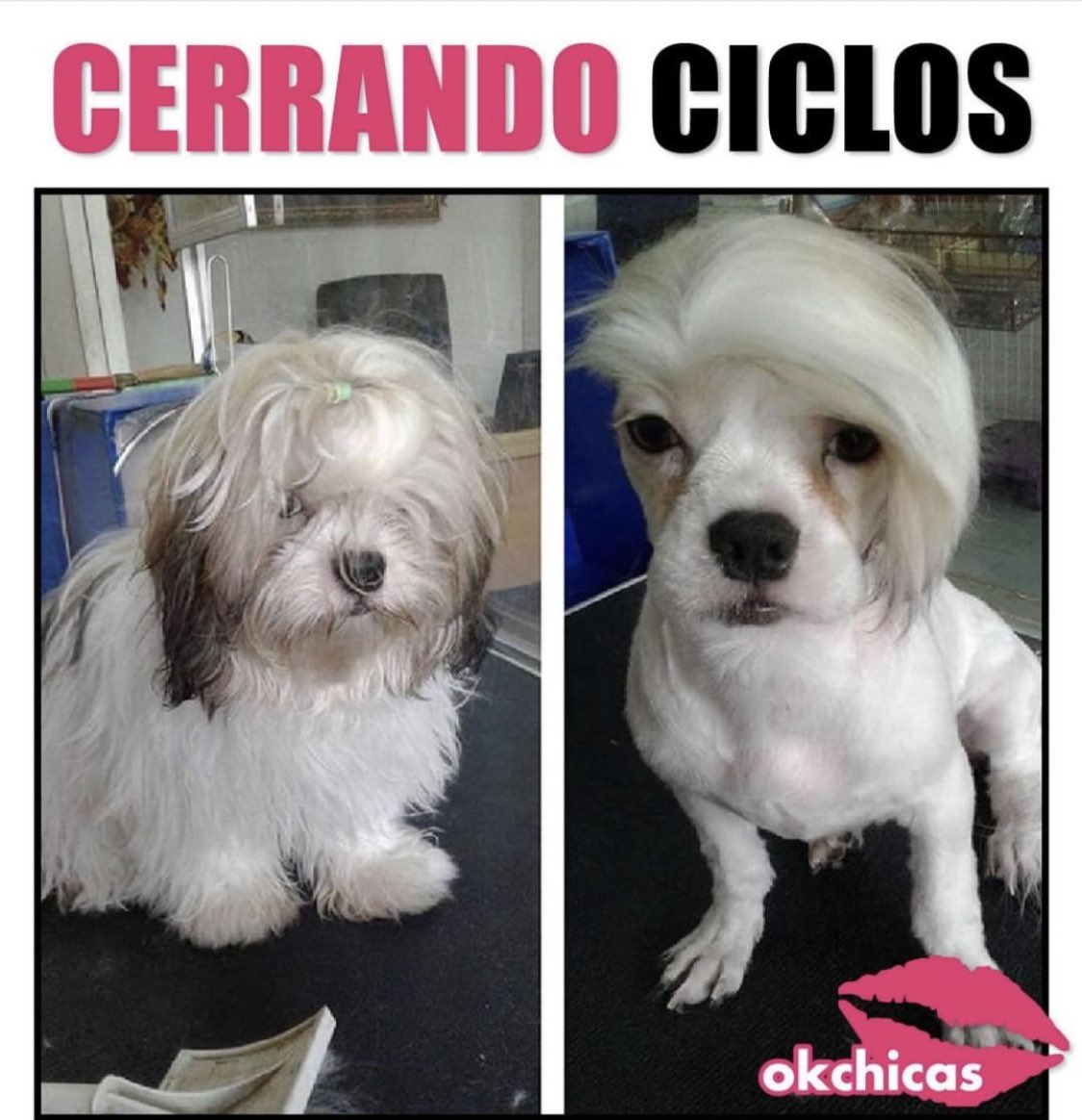 natyacos's tweet photo. @nosreiremos jean Mary y su casquito https://t.co/eTKKxf1Wc1