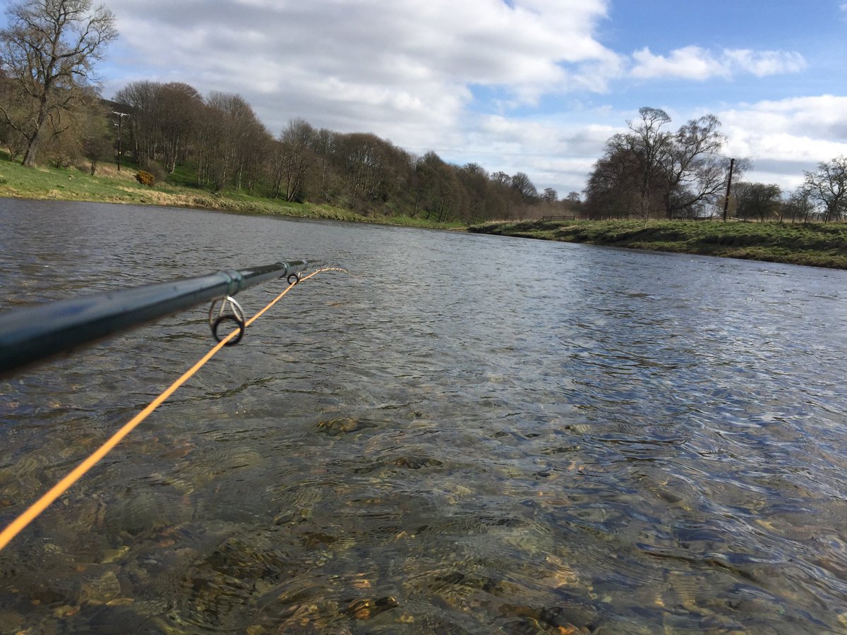 MiddleFishing's tweet photo. Water looking great here this my morning, Just waiting on the fish moving in! https://t.co/1y8IiODzIZ