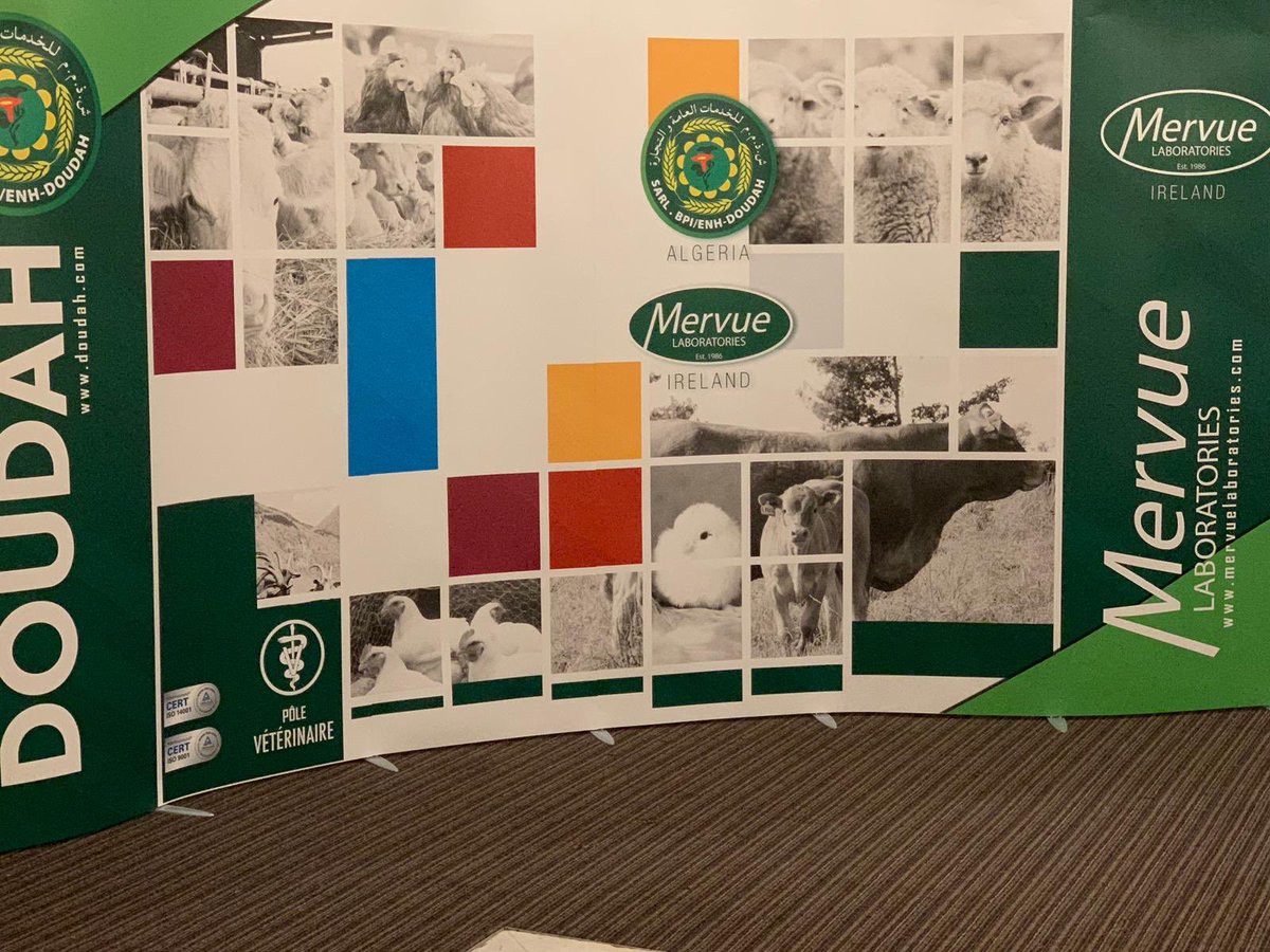 MervueLabs's tweet photo. Mervue’s William Twomey &amp; Des Cronin attending launch seminar hosted by GROUP DOUDAH, with key opinion leaders of the Algerian veterinary community #mervuelaboratories #mervueireland #animalnutrition #nutraceuticals #globalpartnership #groupdoudah https://t.co/ZXIrEMxs0Y