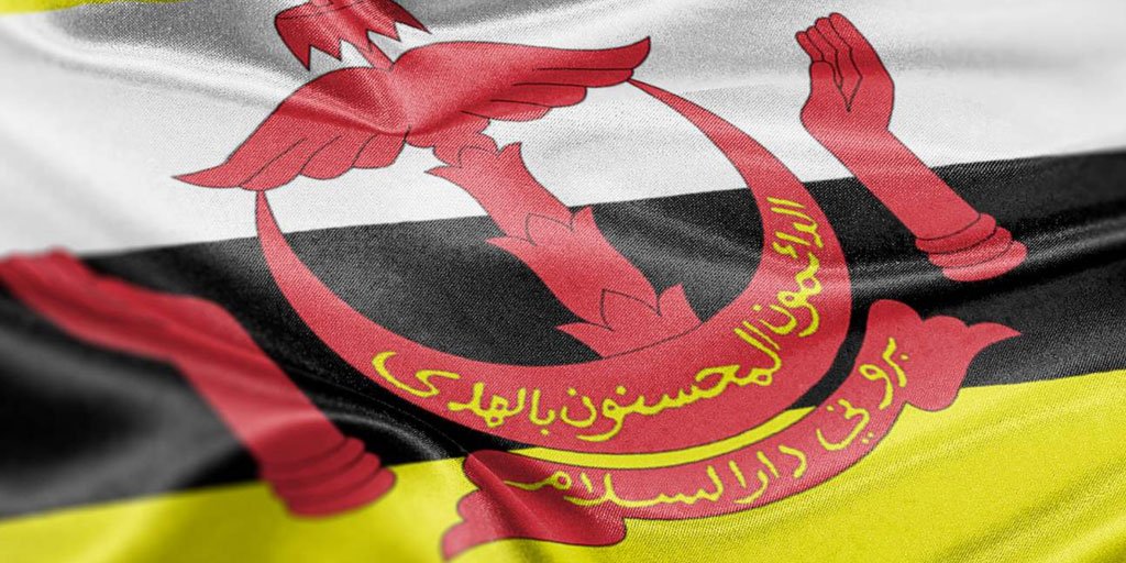 amnestybe's tweet image. ❗️L'Etat du Brunéi Darussalam prévoit l'application de peines inhumaines comme la #lapidation en cas de rapports entre personnes #LGBTI ou l'#amputation , même pour des enfants 
👉Plus d'infos : bit.ly/2uyxY4w