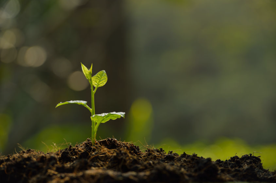 BerminalApp's tweet photo. Polkadot Ecosystem Set to Expand as Web3 Foundation Unveils Its Grantees
https://t.co/7QJzTEZN3q
#Web3Foundation #Polkadot #Polkawallet #Polkascan #Enzyme #SpeckleOS #GitHubrepo #EthereumCommunityFund https://t.co/wQ4giazafP
