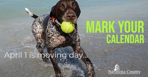 MARK YOUR CALENDARS Beginning April 1, this account will no longer be in service, and all the content you’ve been accustomed to seeing here will move to these accounts:
o@UFSarasotaExt