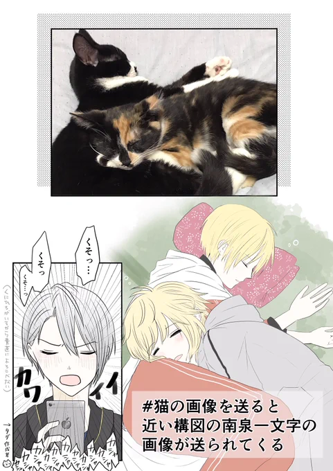 #猫の画像を送ると近い構図の南泉一文字の画像が送られてくる
ちょぎにゃん前提の山猫組
長義くんが寝ててもにゃんは寄ってこない(うちの本丸の話です)
タグにあがる8割の画像は隠し撮りだし、見てるのも投稿するのも8割が全本丸の長義くん… 
