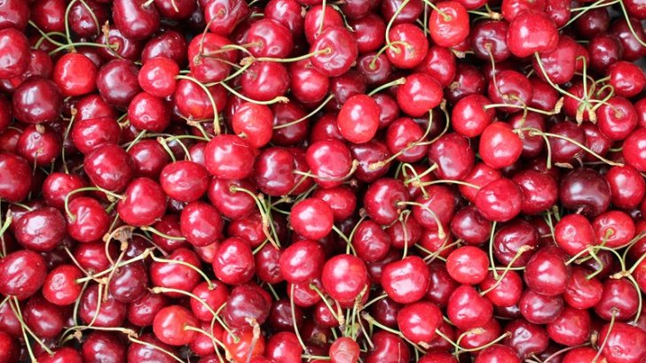 TheGreenWave6's tweet photo. Ya disponible a la venta en nuestro blog CEREZAS ECOLÓGICAS, Pincha en el enlace para descubrirla... ➡️https://t.co/qqyUUk9mTW #CursoRS2019 https://t.co/k6NeoxS68L