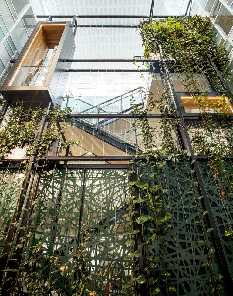 Arc_Structures's tweet photo. A green wall is a great solution for any business that wants a cleaner environment. They are a powerful visual and ecological statement bringing nature into an urban space. #greenwall #ecocladding #bespokestructures #arc_structures https://t.co/VBlWLejlN4