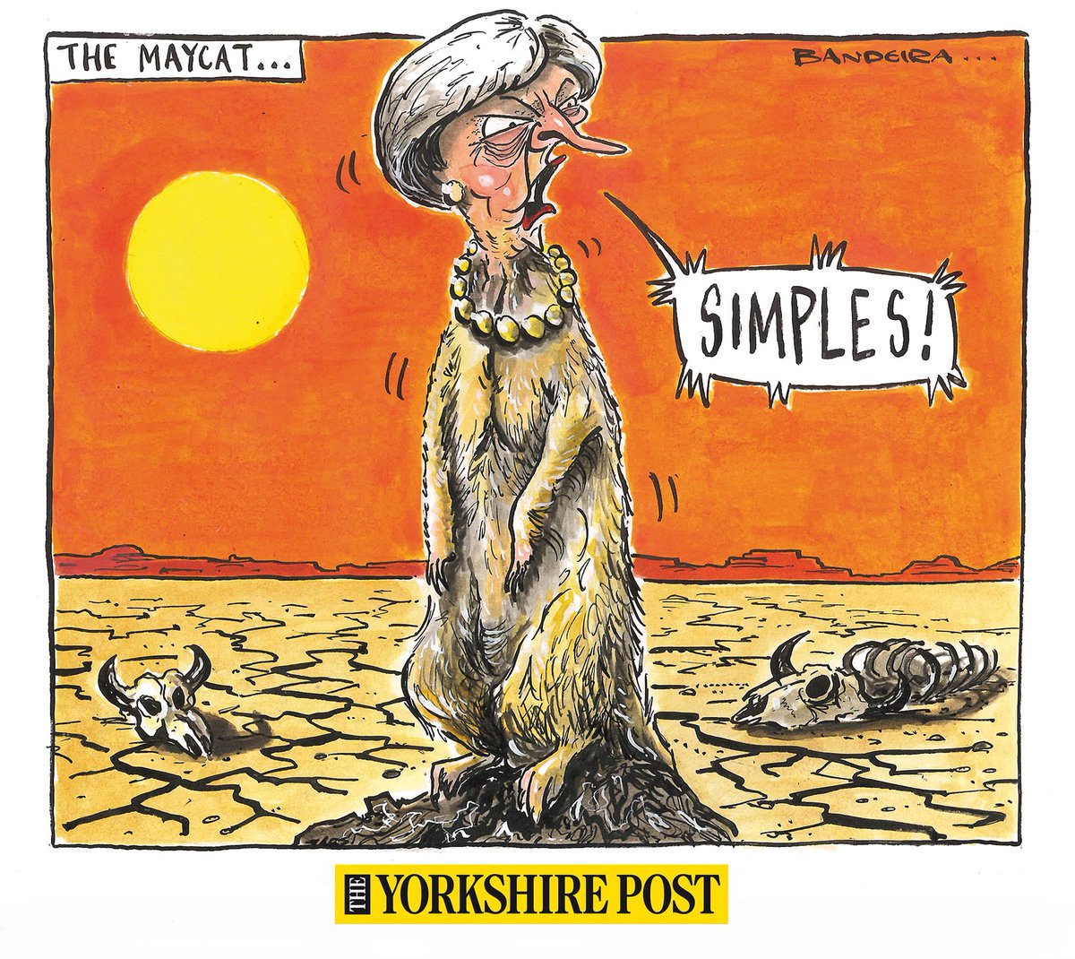 GraemeBandeira's tweet photo. Things aren't so simples now....#maycat https://t.co/TTyt1uzmpD