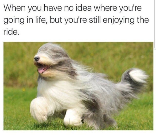 knowyourmeme's tweet photo. https://t.co/9JAdKYuD7f