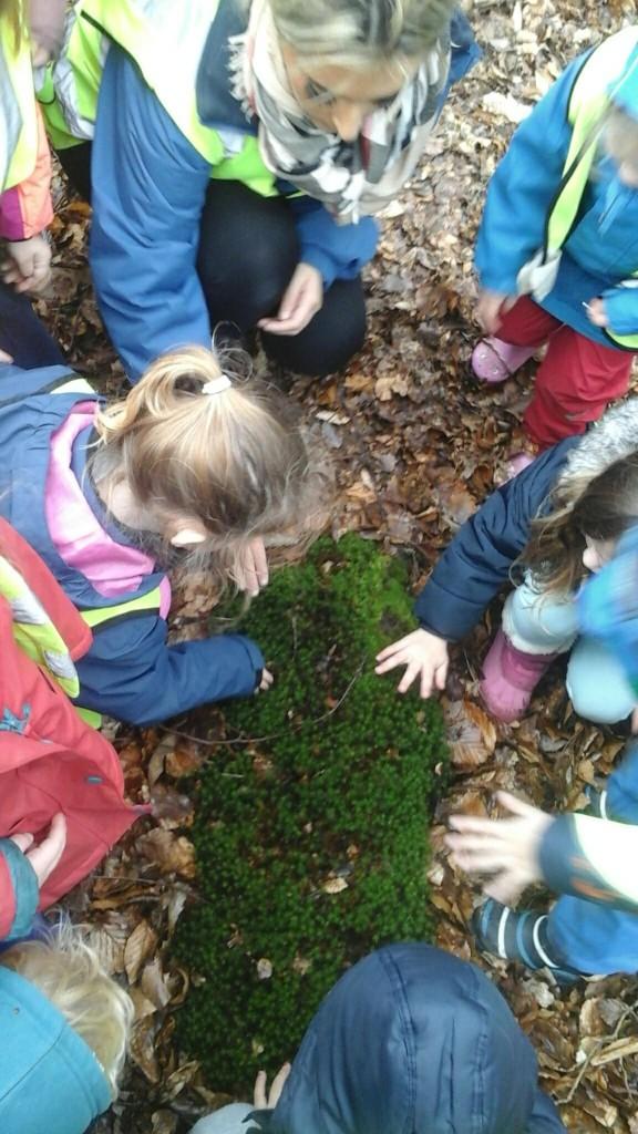 Bright Horizons Fair oak tweet media