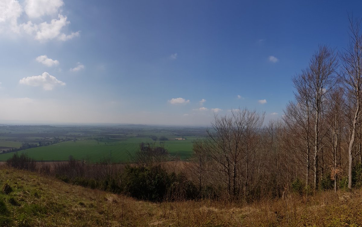 Year 5s at the top of Roundway Down having lunch now!