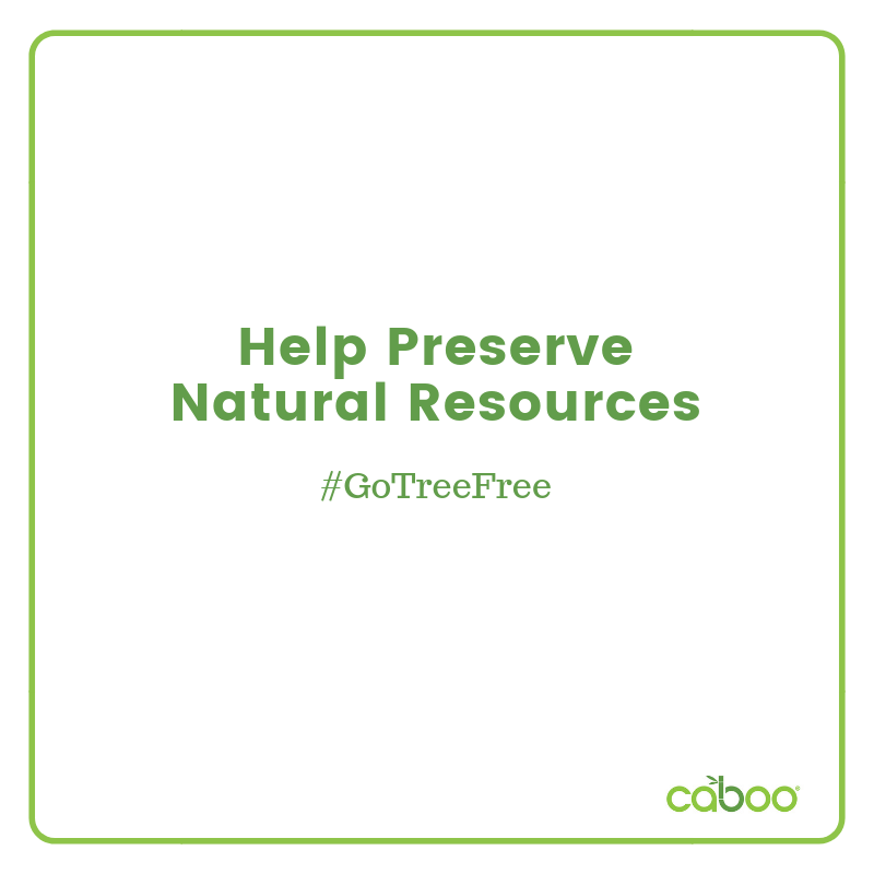 cabooproducts's tweet photo. Us humans consume about 27,000 trees daily for toilet paper alone! Using tree-free products like Caboo, is a small step that can have a big impact collectively on preserving our natural resources - trees & forests! #GoTreeFree #CabooProudcts β£ https://t.co/cjVCvij5JR